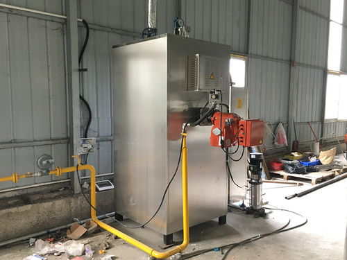 d級(jí)蒸汽鍋爐需要報(bào)備嗎