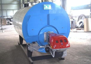 齊魯燃油蒸汽鍋爐 燃?xì)庹羝仩t 酒廠蒸汽鍋爐 食品廠蒸汽鍋爐